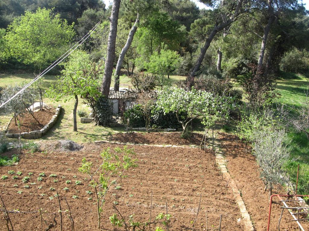 Appartamento Grgorinic